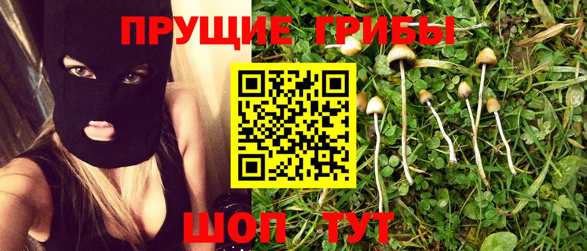 Псилоцибиновые грибы GOLDEN TEACHER  Вход с VPN  Дубна 